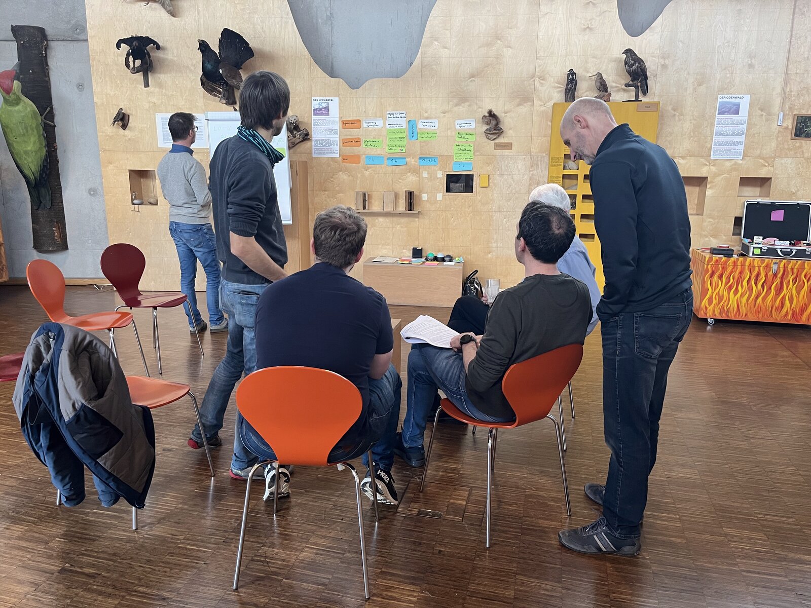 Participants sit and stand in the museum room in front of a wall with colorful moderation cards, stuffed birds hang on the wall